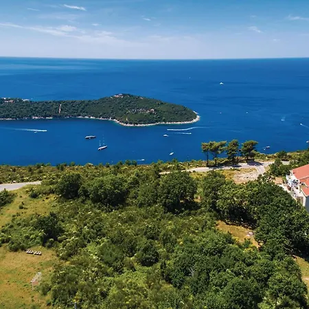 Apartment Pet Friendly In Bosanka With Kitchen